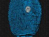 Moonalice Poster by Chris Shaw 2011 M0423