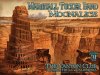 Moonalice Poster by Chris Shaw 2013 M0633