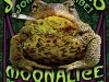 M-176 Moonalice poster by Chris Shaw